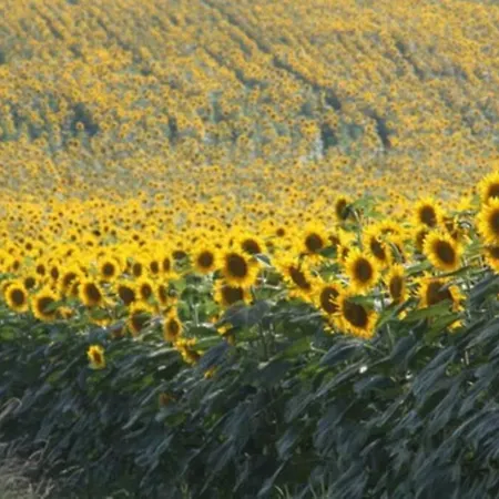 Magnifique Grand Entier Avec Piscine Et Vue *