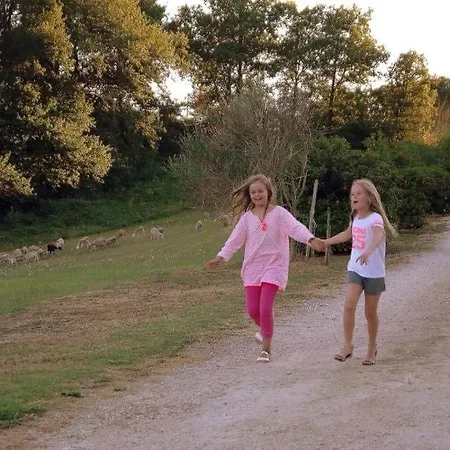 Magnifique Grand Entier Avec Piscine Et Vue * Lezat-sur-Leze