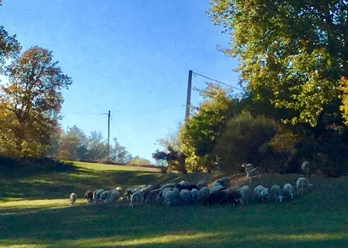 Magnifique Grand Entier Avec Piscine Et Vue ヴィラ Lezat-sur-Leze
