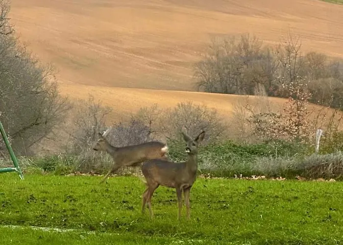 Magnifique Grand Entier Avec Piscine Et Vue ヴィラ Lezat-sur-Leze