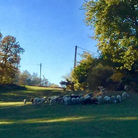 Magnifique Grand Entier Avec Piscine Et Vue Willa Lezat-sur-Leze