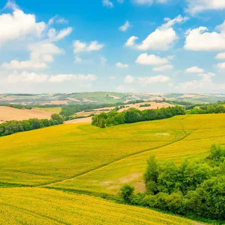 Magnifique Grand Entier Avec Piscine Et Vue Villa