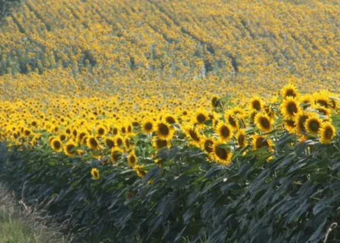 Magnifique Grand Entier Avec Piscine Et Vue *