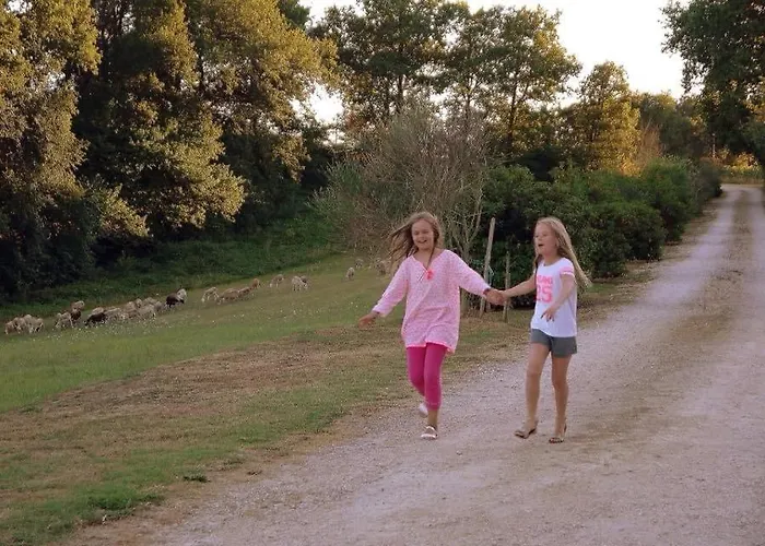 Magnifique Grand Entier Avec Piscine Et Vue * Lezat-sur-Leze